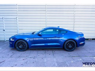 FORD Mustang Fastback 4129998 VARCO 2